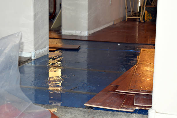 Professional Emergency Water Damage Restoration technician working in Romulus, MI