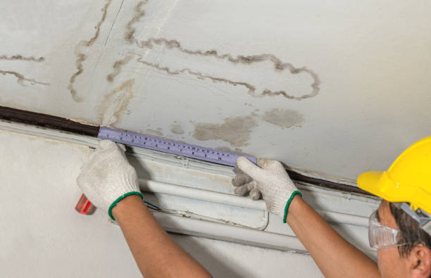 Reliable Emergency Water Damage Restoration contractor in Romulus, MI by Water Damage Irwin